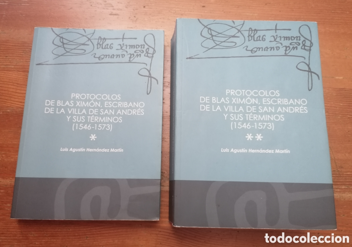 Libros: PROTOCOLOS DE BLAS XIM&Oacute;N, ESCRIBANO DE SAN ANDRES LA PALMA (1546-1573)