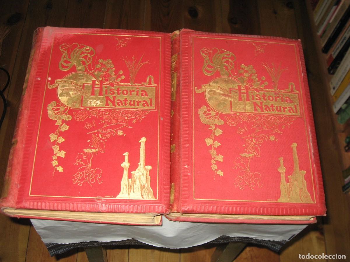 Libros: HISTORIA NATURAL. 2 TOMOS - Odon de Buen - Foto 1