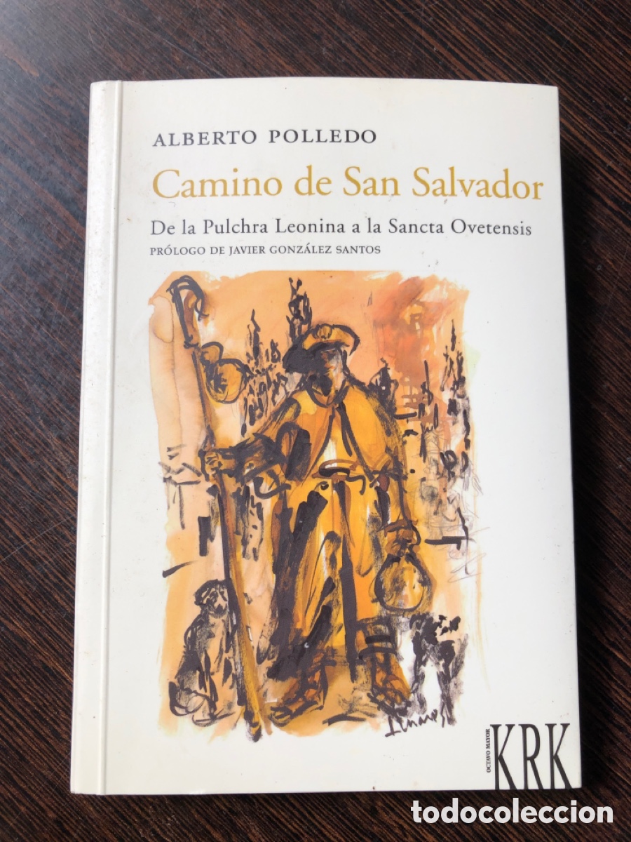 Livres: CAMINO DE SAN SALVADOR DE LA PULCHRA LEONINA A LA SANCTA OVETENSIS ALBERTO POLLEDO