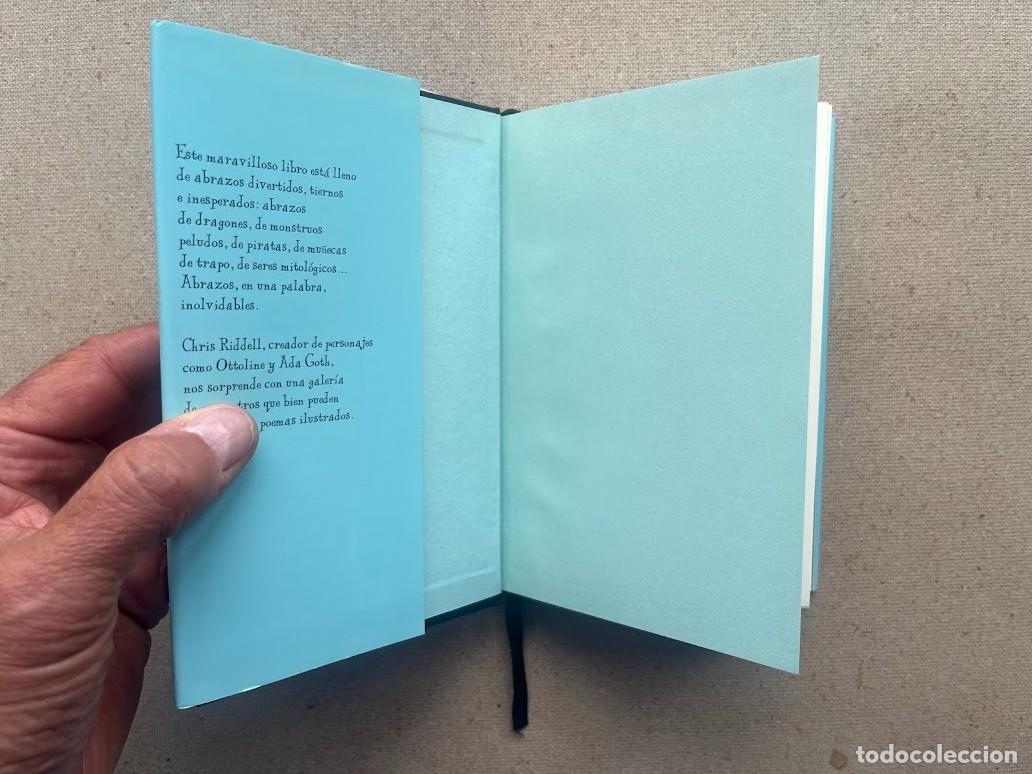 Libros: 100 Abrazos / Chris Riddell / Edelvives / - Foto 4