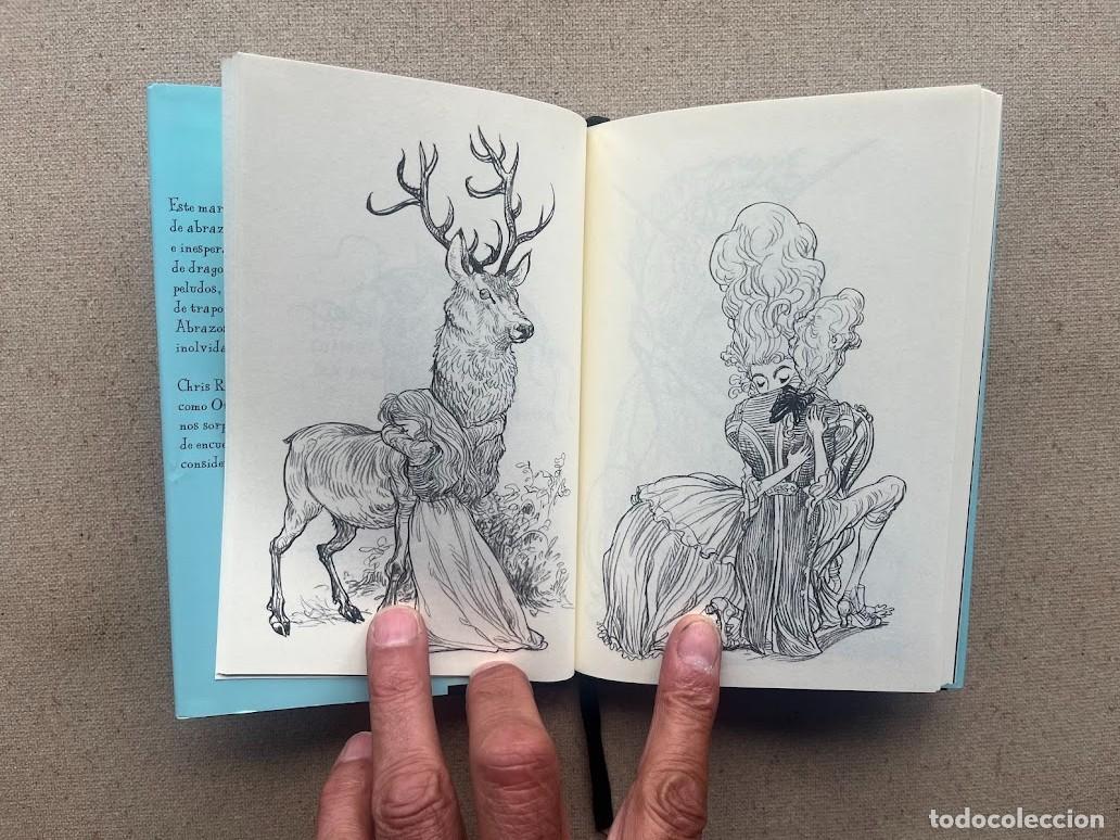 Libros: 100 Abrazos / Chris Riddell / Edelvives / - Foto 7
