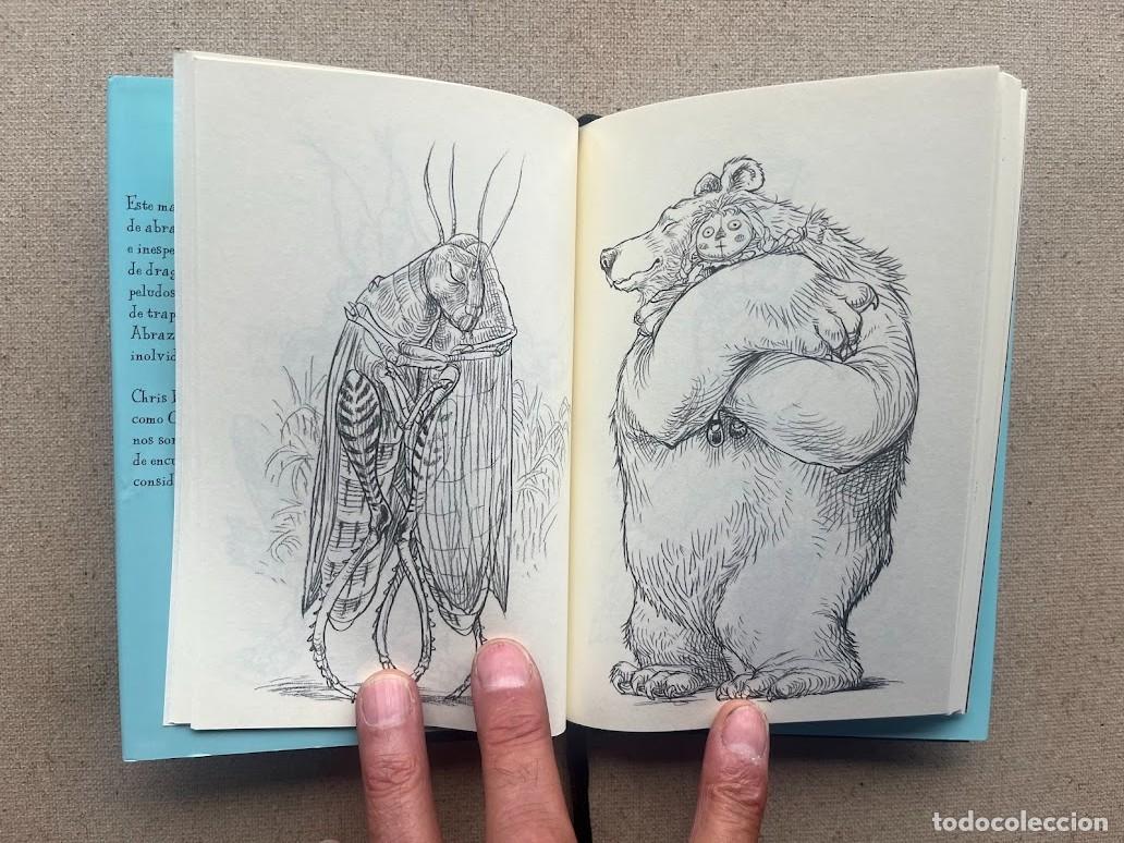Libros: 100 Abrazos / Chris Riddell / Edelvives / - Foto 8