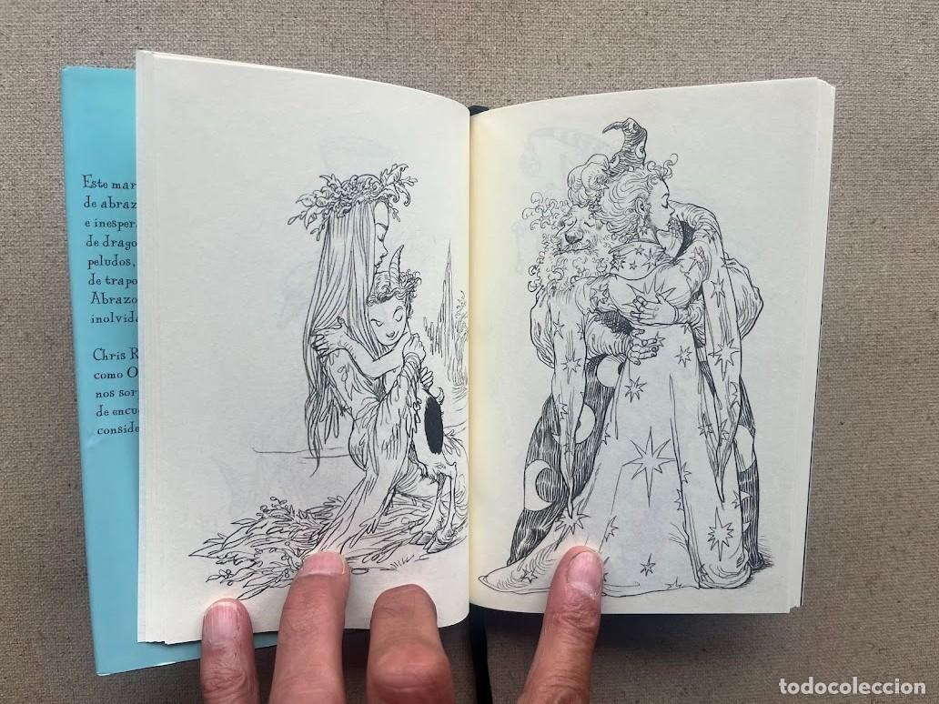 Libros: 100 Abrazos / Chris Riddell / Edelvives / - Foto 9