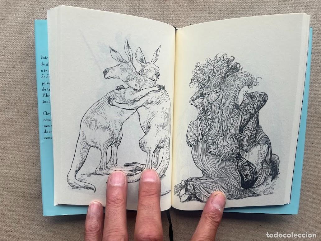 Libros: 100 Abrazos / Chris Riddell / Edelvives / - Foto 10