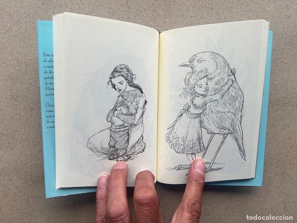 Libros: 100 Abrazos / Chris Riddell / Edelvives / - Foto 11