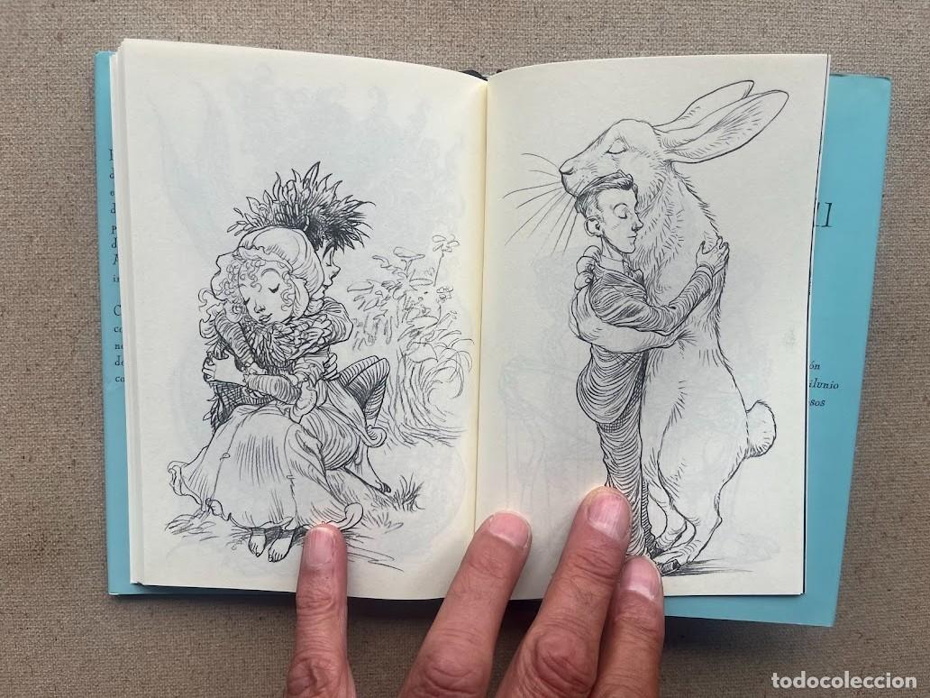 Libros: 100 Abrazos / Chris Riddell / Edelvives / - Foto 14