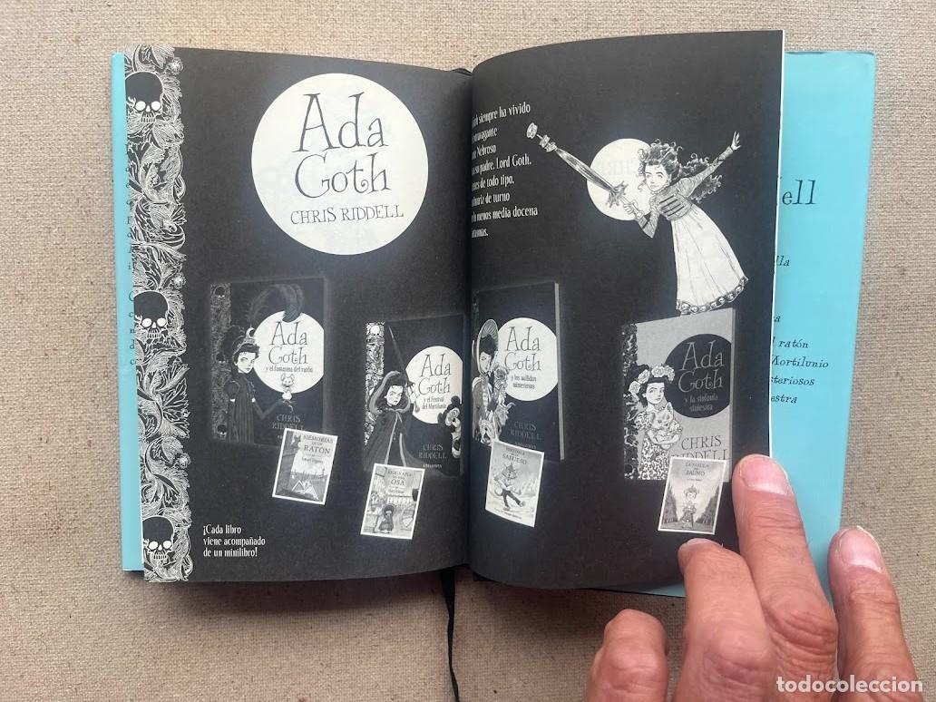 Libros: 100 Abrazos / Chris Riddell / Edelvives / - Foto 15