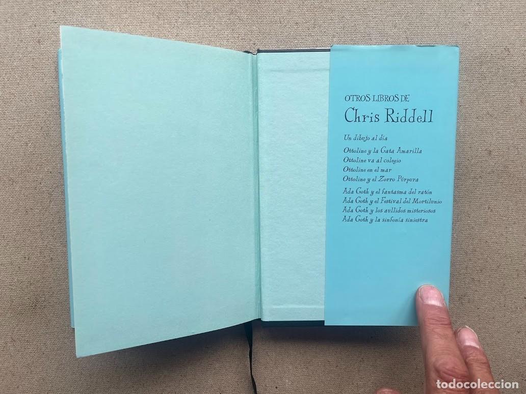 Libros: 100 Abrazos / Chris Riddell / Edelvives / - Foto 16