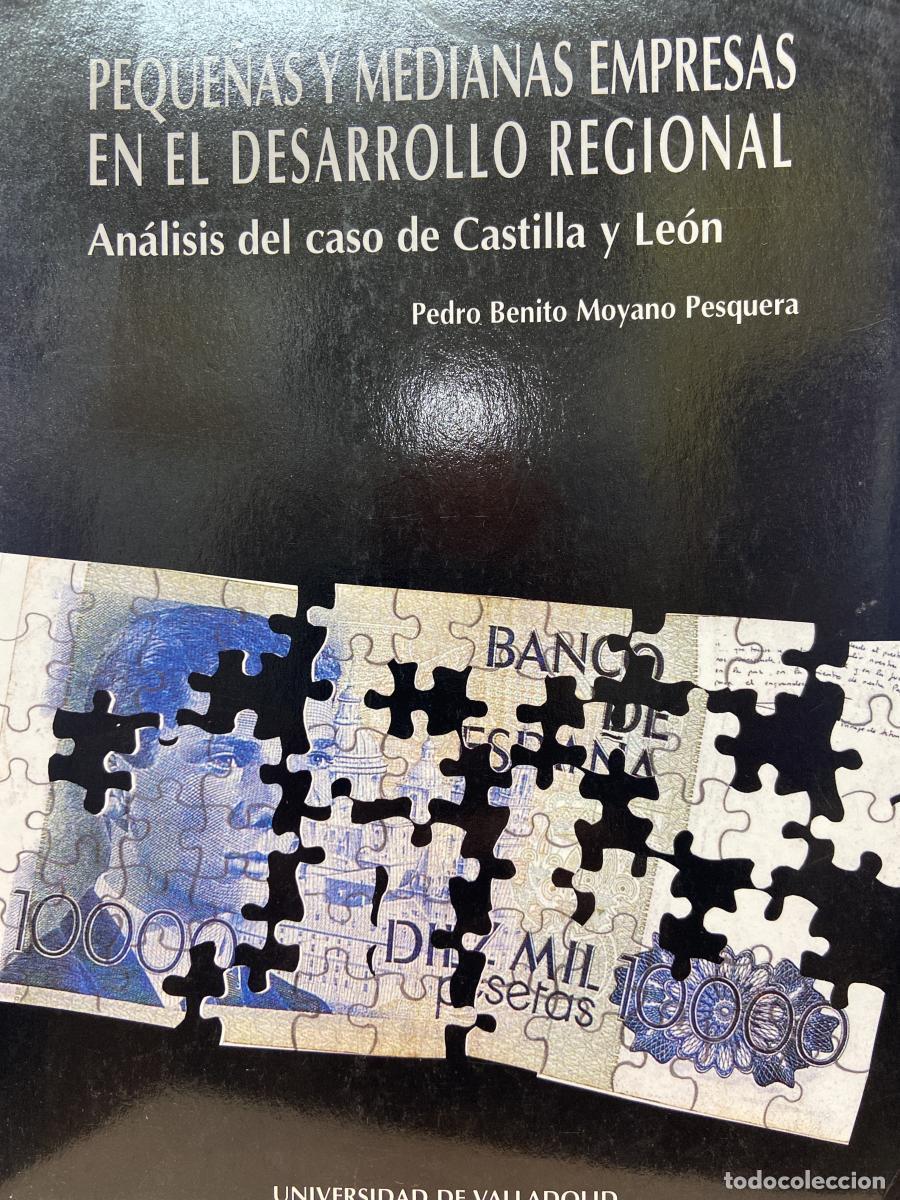 Libros: PEQUE&Ntilde;AS Y MEDIANAS EMPRESAS EN EL DESARROLLO REGIONAL. AN&Aacute;LISIS DEL CASO DE CASTILLA Y LE&Oacute;N. - Pedr