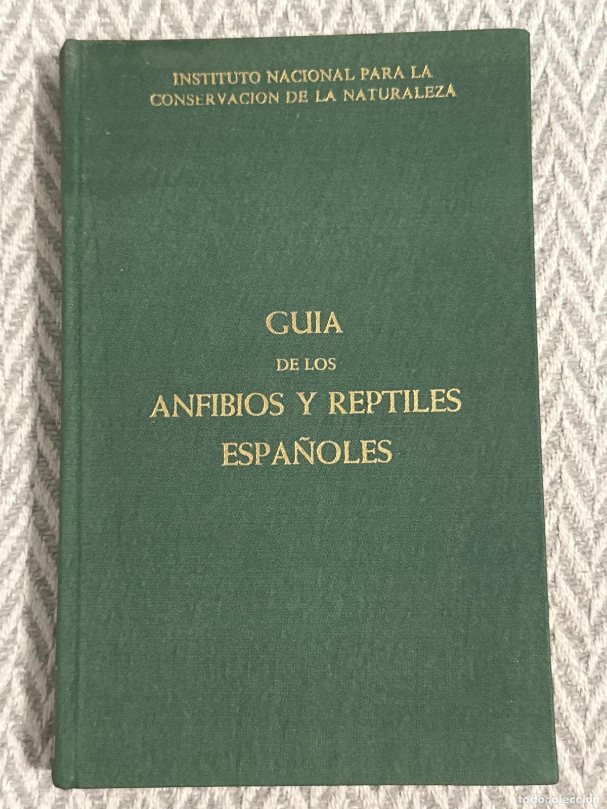Livros em segunda m&atilde;o: Gu&iacute;a de los anfibios y reptiles espa&ntilde;oles - Alfredo Salvador