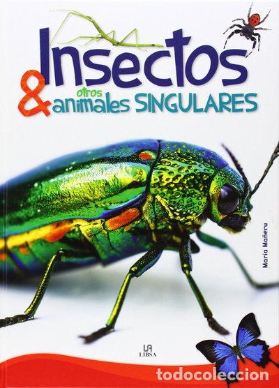 Libros: Insectos y otros animales singulares- 9788466227186