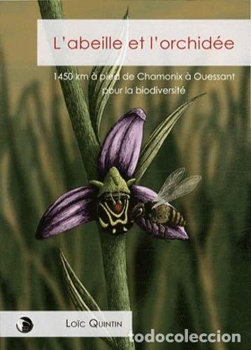Libros: L'abeille et l'orchid&eacute;e- 9782849212011