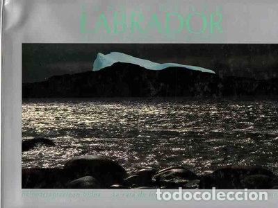 Libros: Euskaldunen labrador- 9788487732003