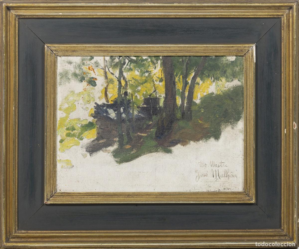 Libros: Pintura - Jos&eacute; Malhoa - Paisaje (firmado)
