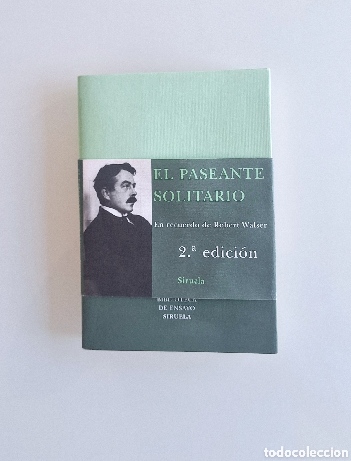 Livres: El paseante solitario, W.G. Sebald, Siruela, en recuerdo de Robert Walser