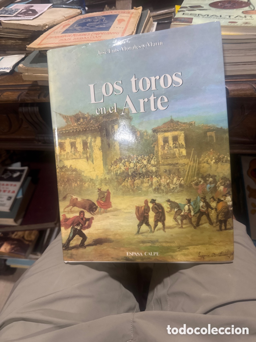 Libros: Los toros en el arte&rdquo; Jos&eacute; Luis Morales y Mar&iacute;n