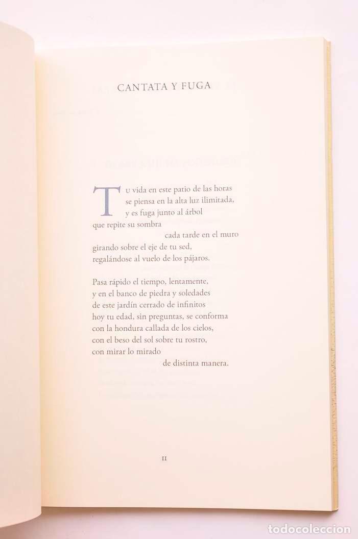 Libros: Las razones del viento - INIESTA, Jos&eacute; - Foto 3