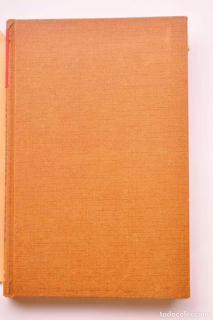 Libros: Peter Camenzind - HESSE, Hermann - Foto 2