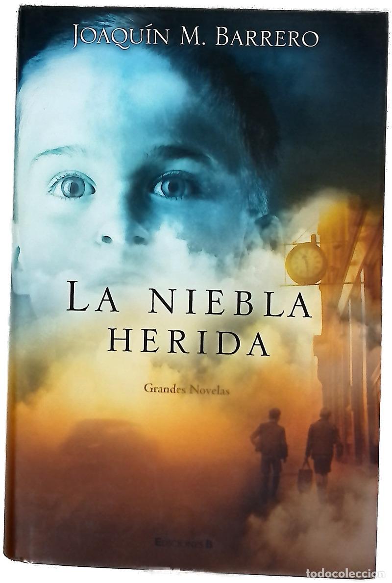 Libros: La niebla herida - Barrero, Joaqu&iacute;n M