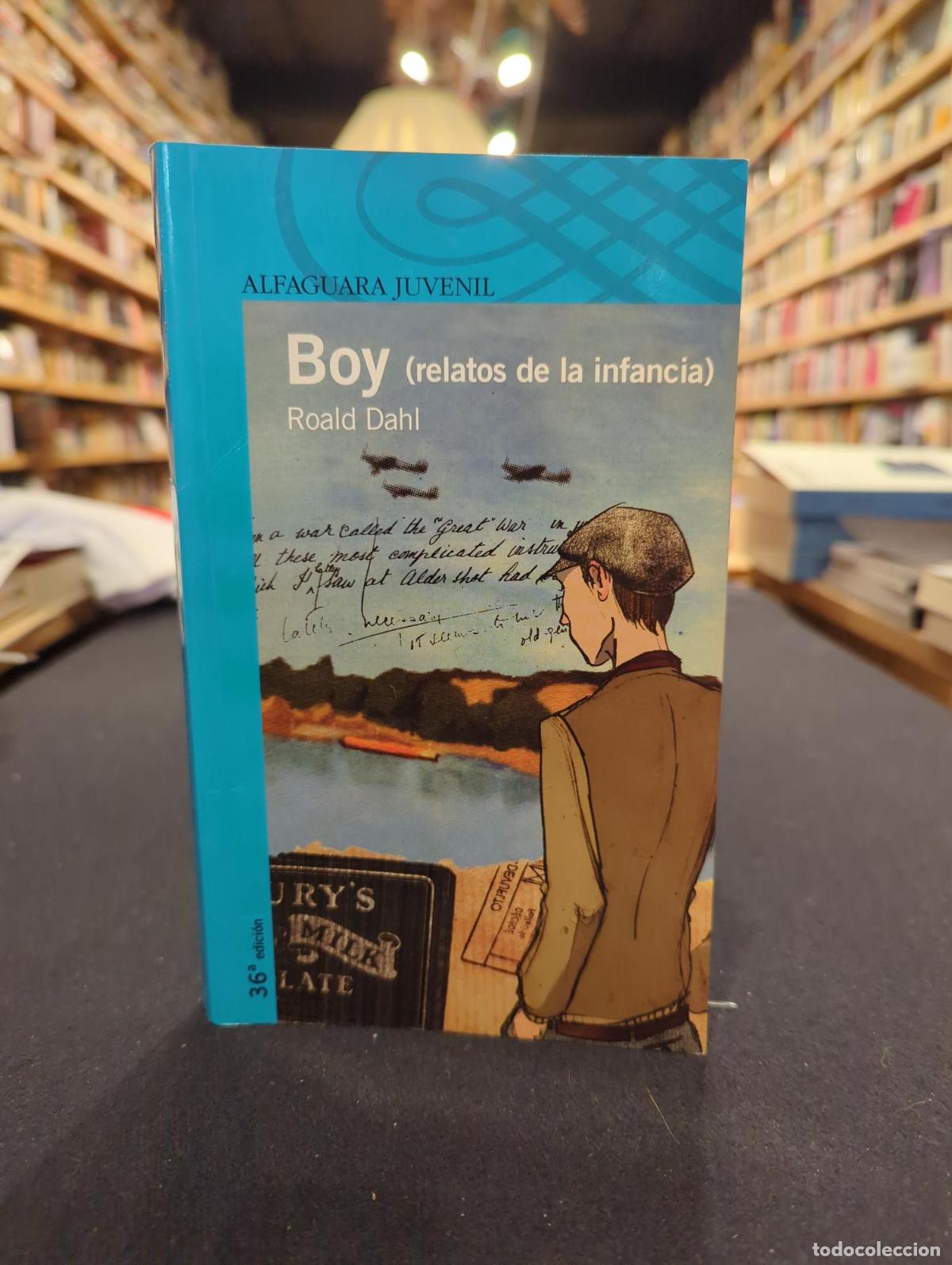 Boy. Relatos de la infancia - Dahl, Roald