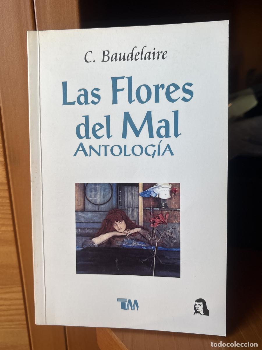 Libros: Flores Del Mal (Spanish Edition) - Charles Baudelaire tdk542