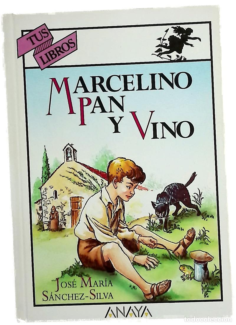 Libros: Marcelino Pan y Vino - S&aacute;nchez-Silva, Jos&eacute; Mar&iacute;a; Pascual, Emilio; Go&ntilde;i, Lorenzo