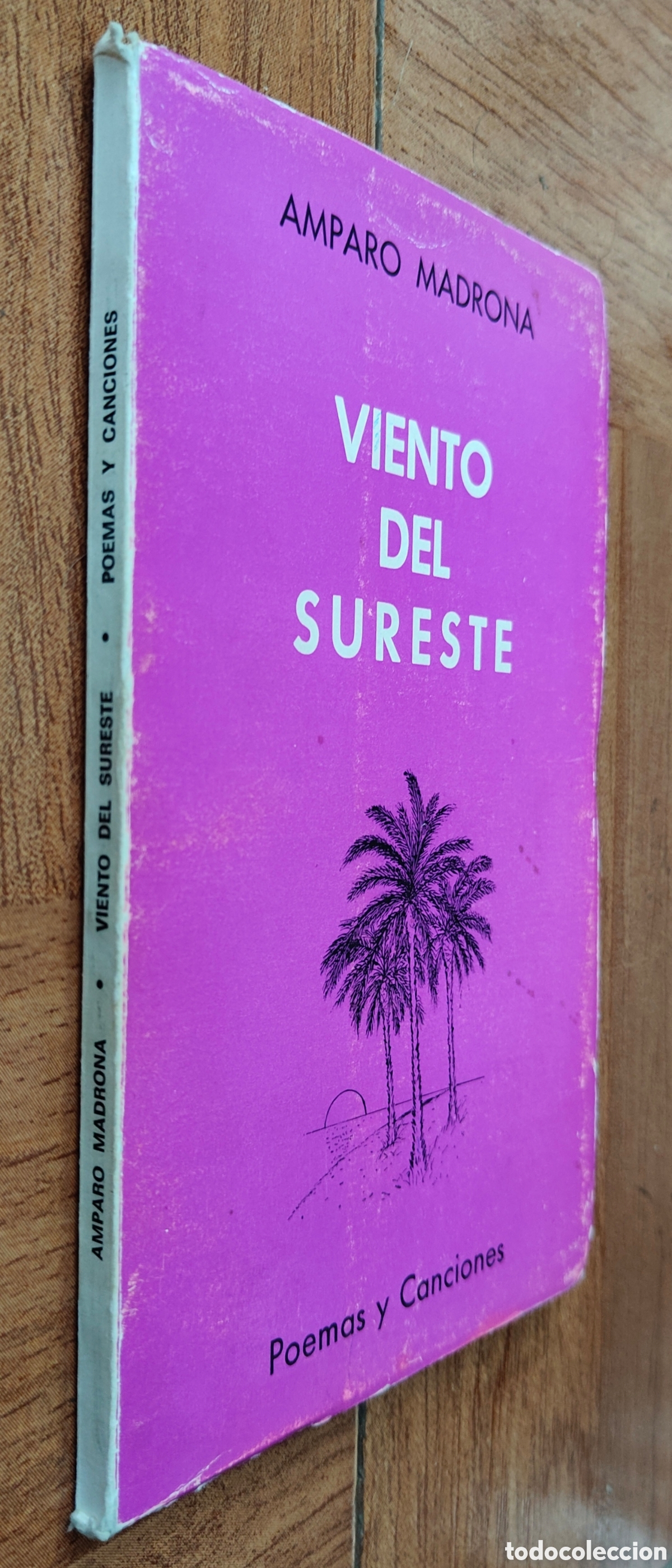 Libros: Viento del Sureste � Poemas y Canciones - Amparo Madrona