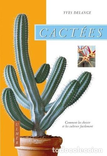 books: Cact&eacute;es : Comment les choisir et les cultiver facilement- 9782841382149