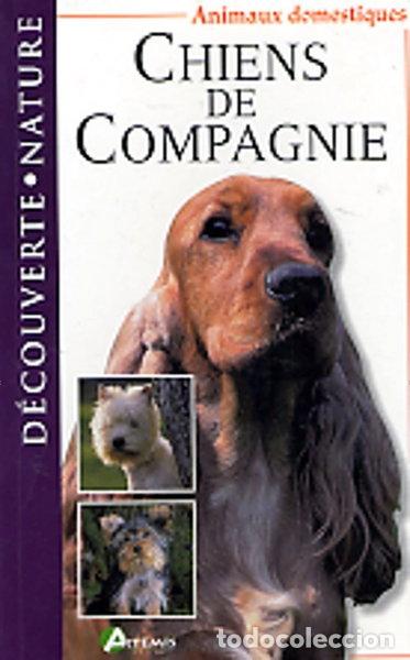 Libros: Chiens de compagnie- 9782844160638