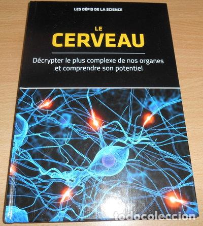 B&uuml;cher: Le cerveau: D&eacute;crypter le plus complexe de nos organes et comprendre son poten...- 9788447394944