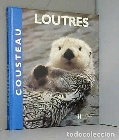 Livres: Loutres- 9782010183201