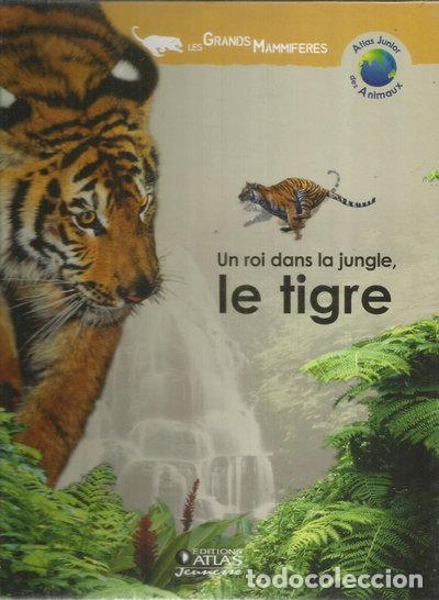 Livros em segunda m&atilde;o: Un roi dans la jungle, le tigre- 9782731232059