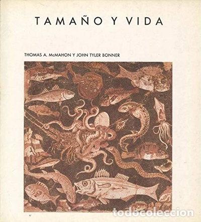 Libri di seconda mano: Tama&ntilde;o y vida- 9788475930169