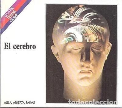 B&uuml;cher: El cerebro- 9788434578159