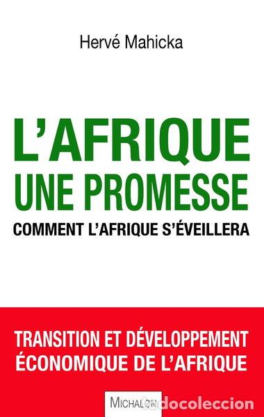 Livros em segunda m&atilde;o: L'Afrique, une promesse- 9782841868773