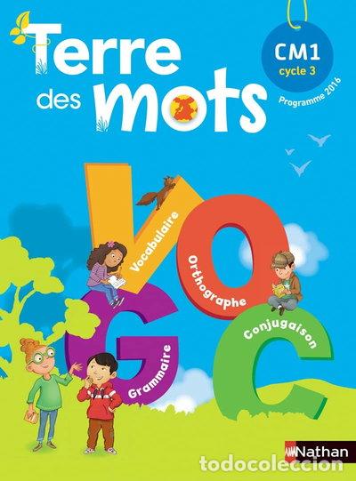 Livros em segunda m&atilde;o: Terre des mots CM1- 9782091228167