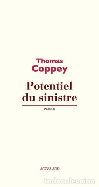 books: POTENTIEL DU SINISTRE- 9782330015039