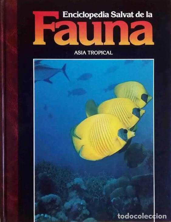 Livres: Enciclopedia Salvat de la Fauna (21): Asia Tropical.