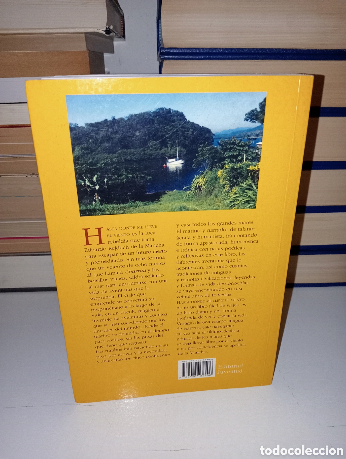Libros: Hasta donde me lleve el viento - Foto 3
