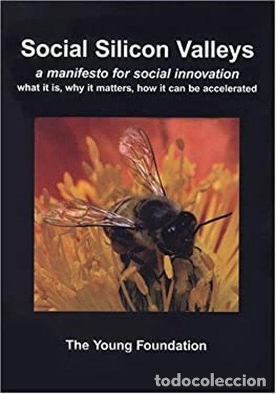 B&uuml;cher: Social Silicon Valleys: A Manifesto for Social Innovation- 9781905551019