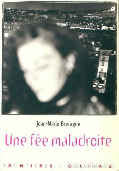 books: Une f&eacute;e maladroite- 9782070523894