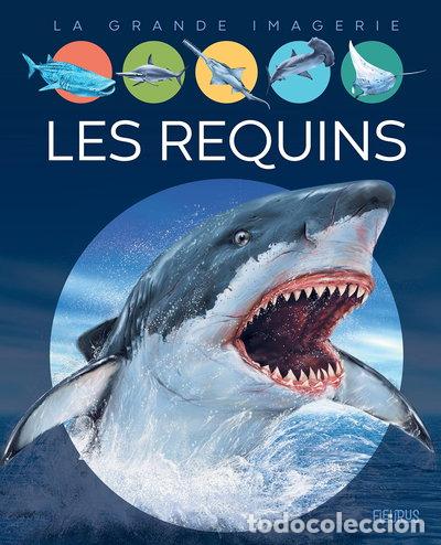 Libros: Les requins- 9782215164784
