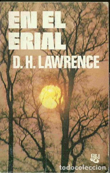 Livros em segunda m&atilde;o: En el erial- 9788421741221