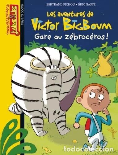 Livros em segunda m&atilde;o: Gare au z&eacute;broc&eacute;ros !- 9782747049924
