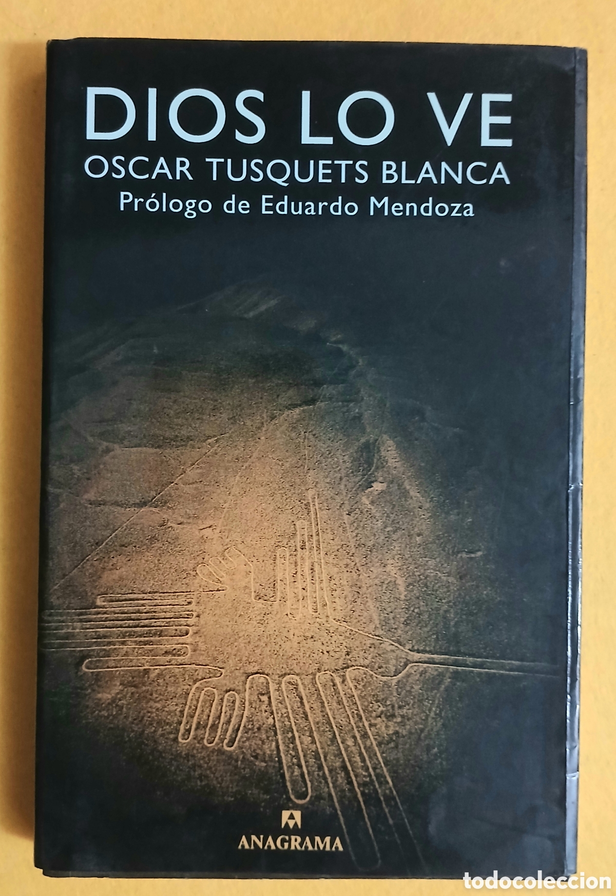 Livres: Dios lo ve ,Oscar Tusquets Blanca