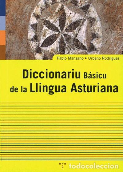 Libri di seconda mano: Diccionariu B&aacute;sicu de la Llingua Asturiana- 9788497040198