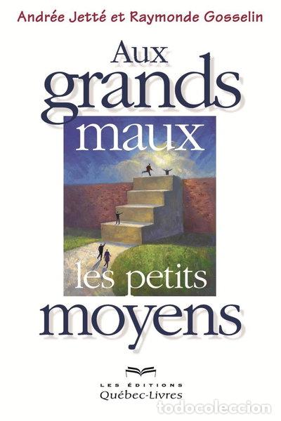 Livres: Aux grands maux, les petits moyens- 9782764020517