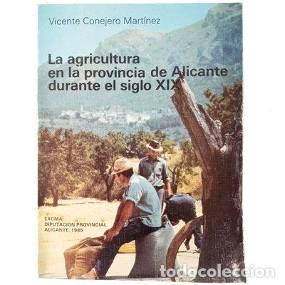 Libri di seconda mano: La agricultura en la provincia de Alicante durante el siglo XIX- 9788450515893