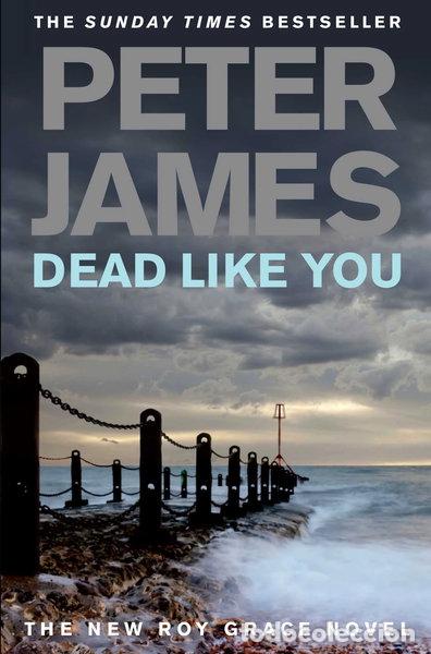Libri di seconda mano: Dead Like You- 9780330456791