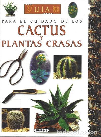 Libros: Cactus y plantas crasas- 9788430576531